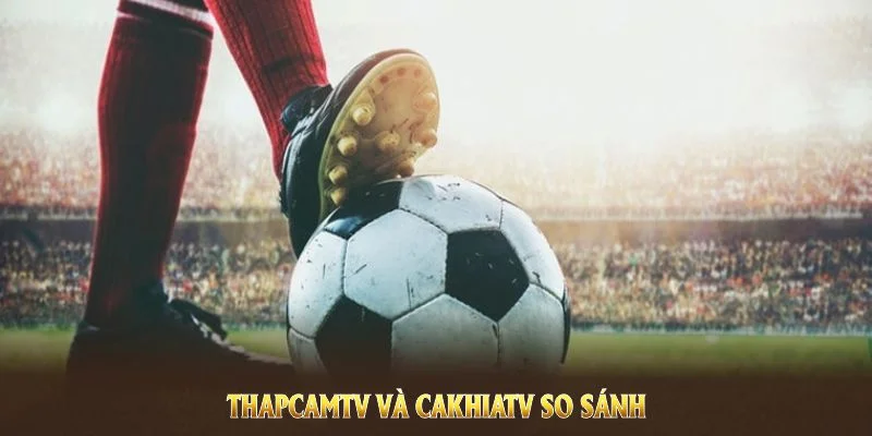 ThapcamTV và CakhiaTV so sánh gồm chất lượng phát sóng, dịch vụ hỗ trợ